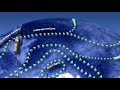 Click here to watch this video How does the ocean affect the climate?