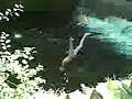 Horse Shoe Jumps