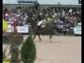 Grace Barton showjumper
