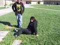 Erica's Hellicopter Move
