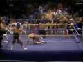 Old school wcw Video
