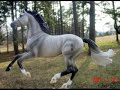 My Breyer Realistic Scenes!!