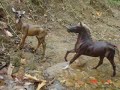 My Breyer Realistic Scenes!!