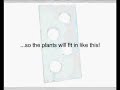 Build Your Own Hydroponic Garden