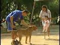 Pit Bull e crian�as