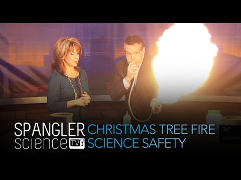 how to keep xmas tree from drying out