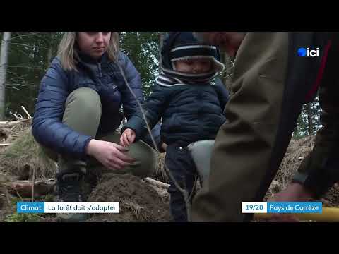 Image de prévisualisation YouTube