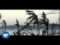 Flavio Rodriguez Ego Official Music Video and Lyrics