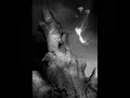 Procer Veneficus: I (Deathwanderings)