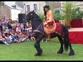 Cheval frison