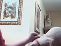 Sphynx Cat at Webcam in Mood for Love