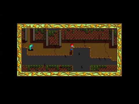 動画