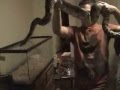 Feeding Time