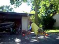 Handstand Trick