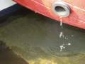 Friesland  2008.wmv