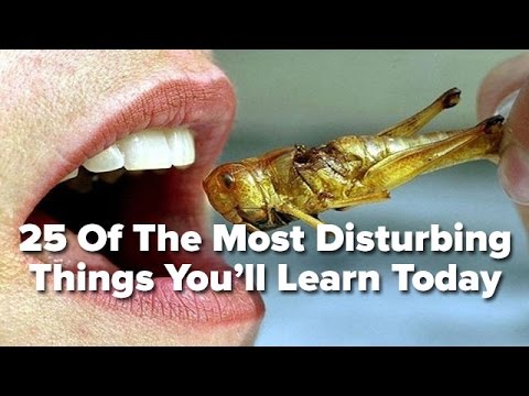 LL - Did you know that 15% of the air you breathe in an average metro station is human skin? These are 25 of the most disturbing things you'll learn today. https://twitter.com/list25 https://www.face...