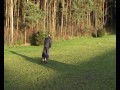 Cortina szkolenie
