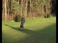 Cortina szkolenie