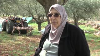 قرية شرفات بين المعاناة و الصمود قرية شرفات بين المعاناة و الصمود
