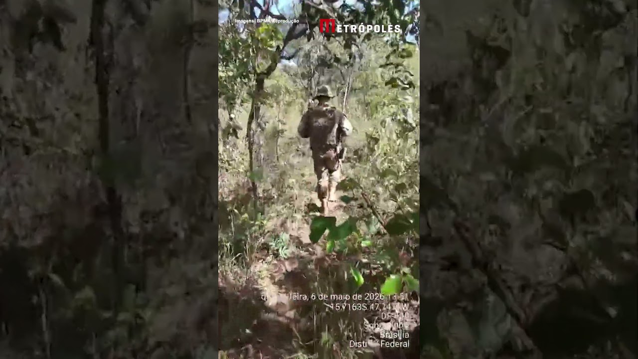 Polícia flagra esquema de grilagem em menos de 1 mês na mesma região