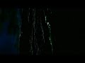 ALIEN VS PREDATOR REQUIEM - MONSTERS\ ALIEN VS PREDATOR REQUIEM - MONSTERS\