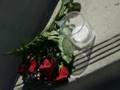 RIP Brandon