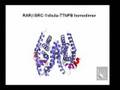 2007 Nathan S. Greenfield Family Lecture in Pharmacology