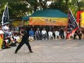 Northern Mantis at Kungfu Corner ????????(1/2)