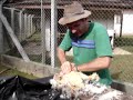 Respiração Boca a Bico-Vila Itoupava
