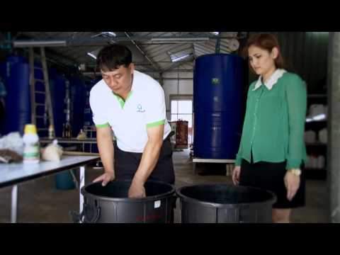 การปลูกพืชสมุนไพร - MJUCHANNEL รายการเกษตร ปราชญ์แม่โจ้ ตอน การผลิตสมุนไพรป้องกันและกำจัดศัตรูพืช.