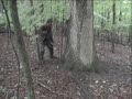 Scrimmage Airsoft Scrimmage Airsoft