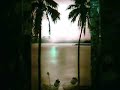 Mike Cooper - Rayon Hula - Ho\