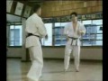 Kyokushin Karate Legends : Top Ten : 5 - 4