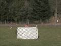 videos de Makana's First Herding Day