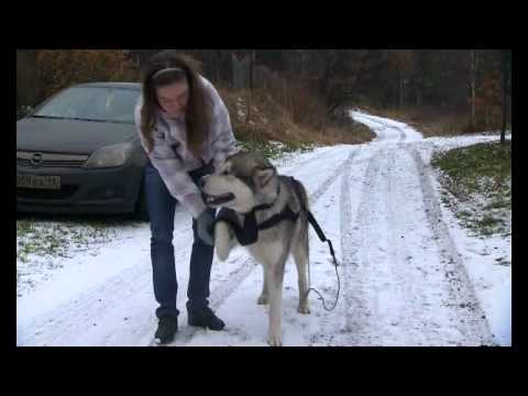 YouTube Трейлер