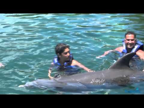 Nager avec les dauphins au Mexique Xel-ha parck rivière maya