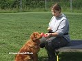 Obedience 2008