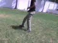 Le parkour