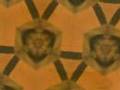 videos de The Orange & Black Under Attack
