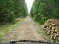 How to load a timber truck in Sweden