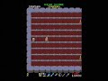 The Tower of Druaga