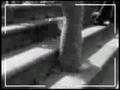 CIPA CAIPA 08