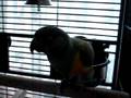 PICT2156.AVI