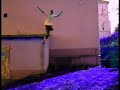 Parkour Rypin *Bongo Team* by Jump4Life Productions MoVie