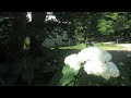 the Old Lyme Musuem
