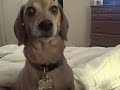 First Video I made