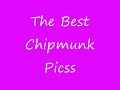 Chipmunk great picss.wmv