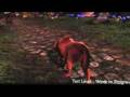 Fable-2-Xbox-360-Gam