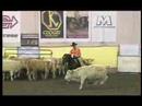 Ans Wyatt Pep N°3 Ans Wyatt Pep N°3