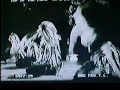 pans people